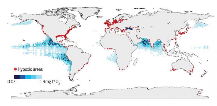 Global map of low oxygen or hypoxic zone which have become more prevalent and dangerous to marine life.