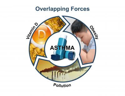 Overlapping Factors of Asthma