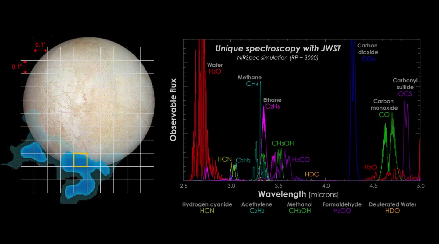 Possible Spectroscopy Results from Europa