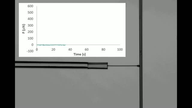 Measuring force