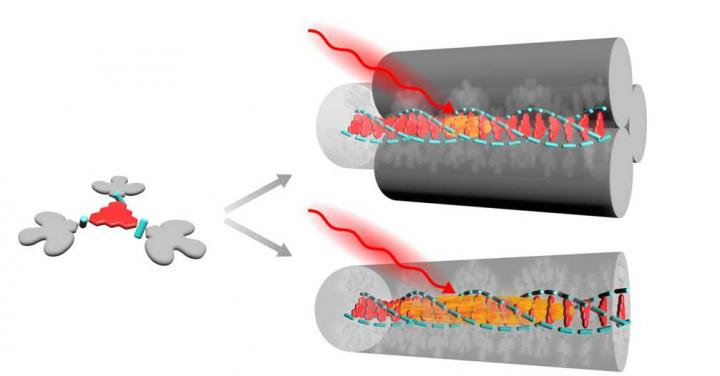 Illustrations of the fibres and their molecular building block