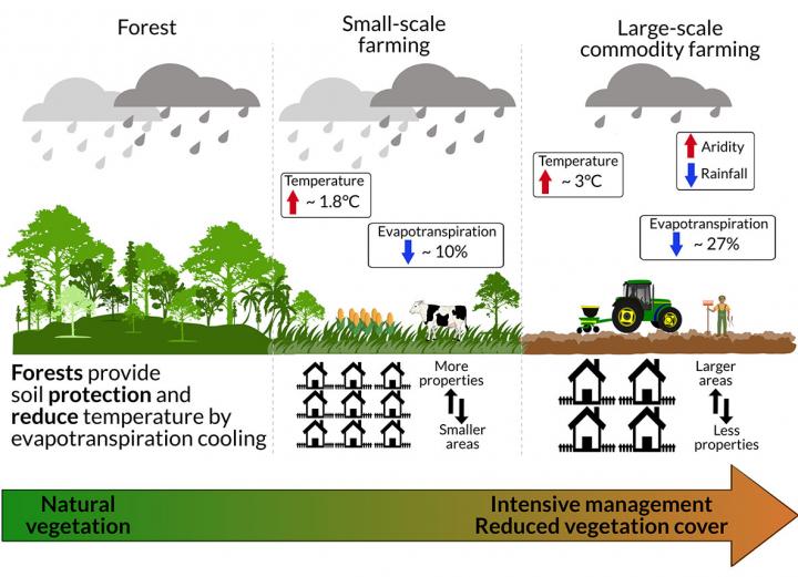 Rainfall and temperature