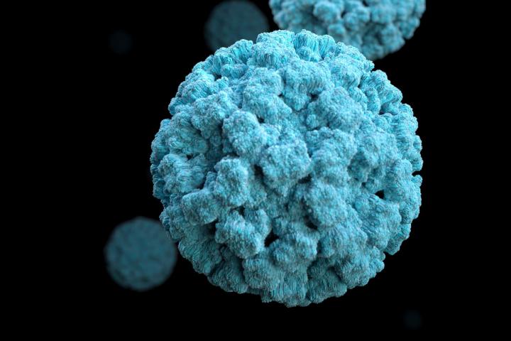 How Highly Contagious Norovirus Infection Gets Its Start