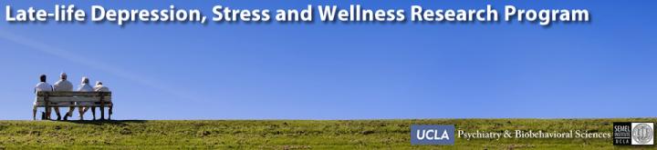 Late-Life Depression