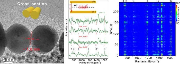 Scientists Use SERS Technology to Accurately Monitor Single-molecule Diffusion Behavior
