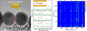 Scientists Use SERS Technology to Accurately Monitor Single-molecule Diffusion Behavior