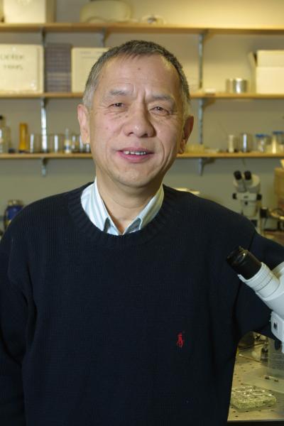 Jia-Huai Wang, Dana-Farber Cancer Institute