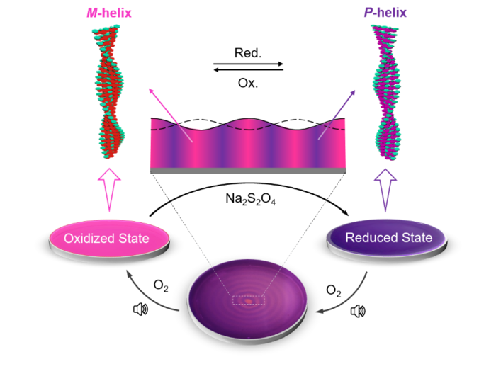 ‘Sound’ly Segregated Supramolecular Helices | EurekAlert!