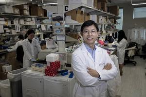 Jianjun Chen, Ph.D.