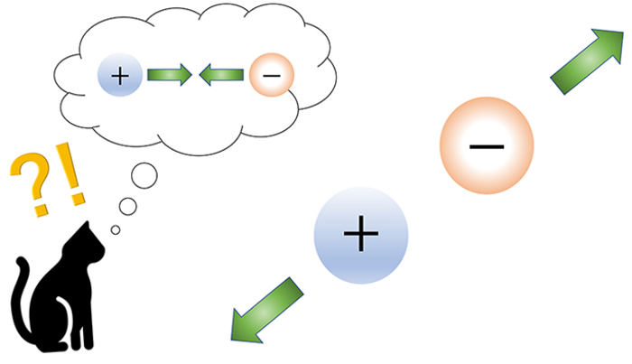 Enusual electric charge behavior