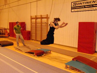Jump: Parkour Athletes as Models for Orangutans