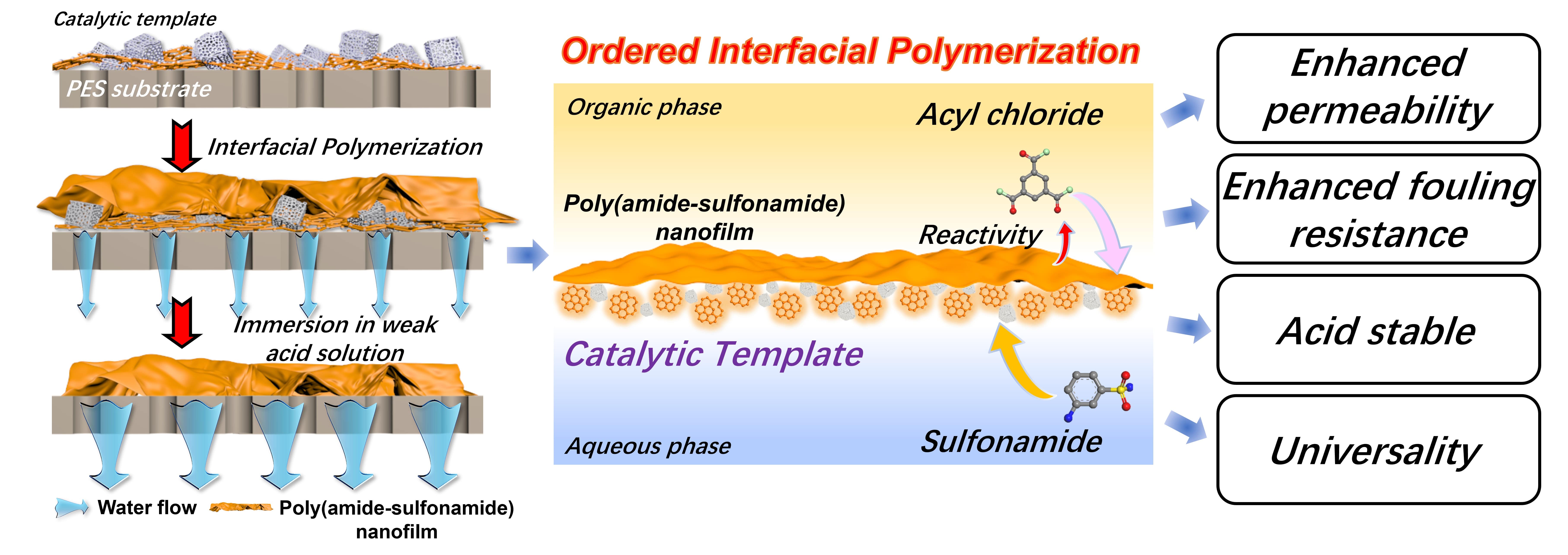 Improving the permeability and separation selectivity for H+/organics of a poly(amide-sulfonamide) acid-resistant nanofiltration membrane via a catalytic template assisted interfacial polymerization strategy