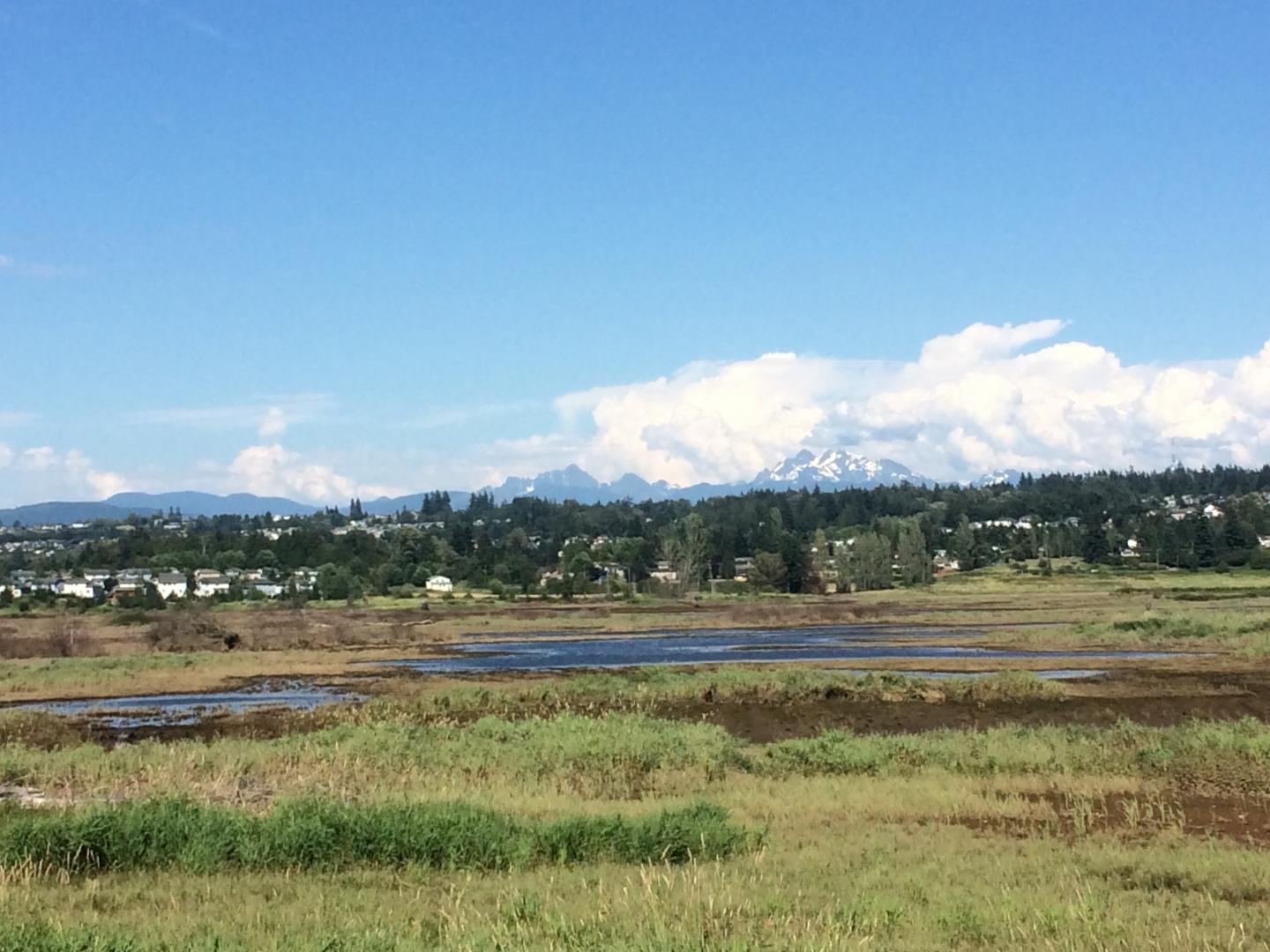 Qwuloolt Restoration Project