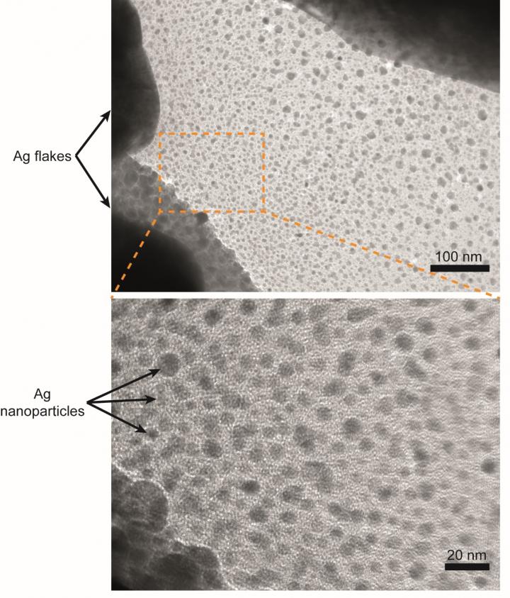 Transmission Electron Microsco [IMAGE] EurekAlert! Science News Releases