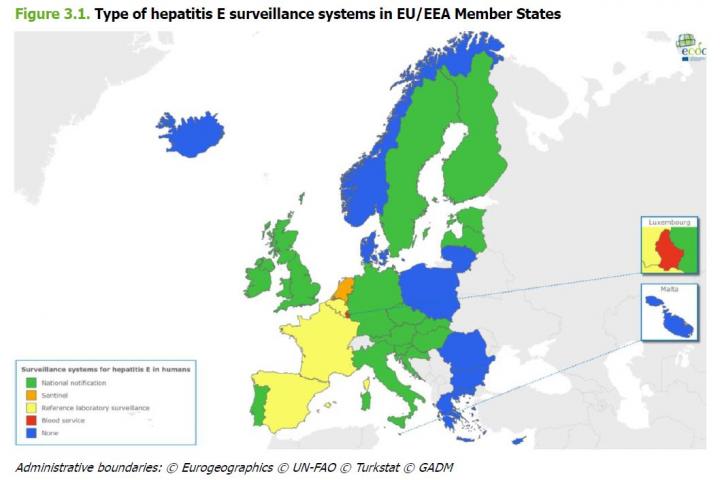 Surveillance of hepatitis E in the European Union