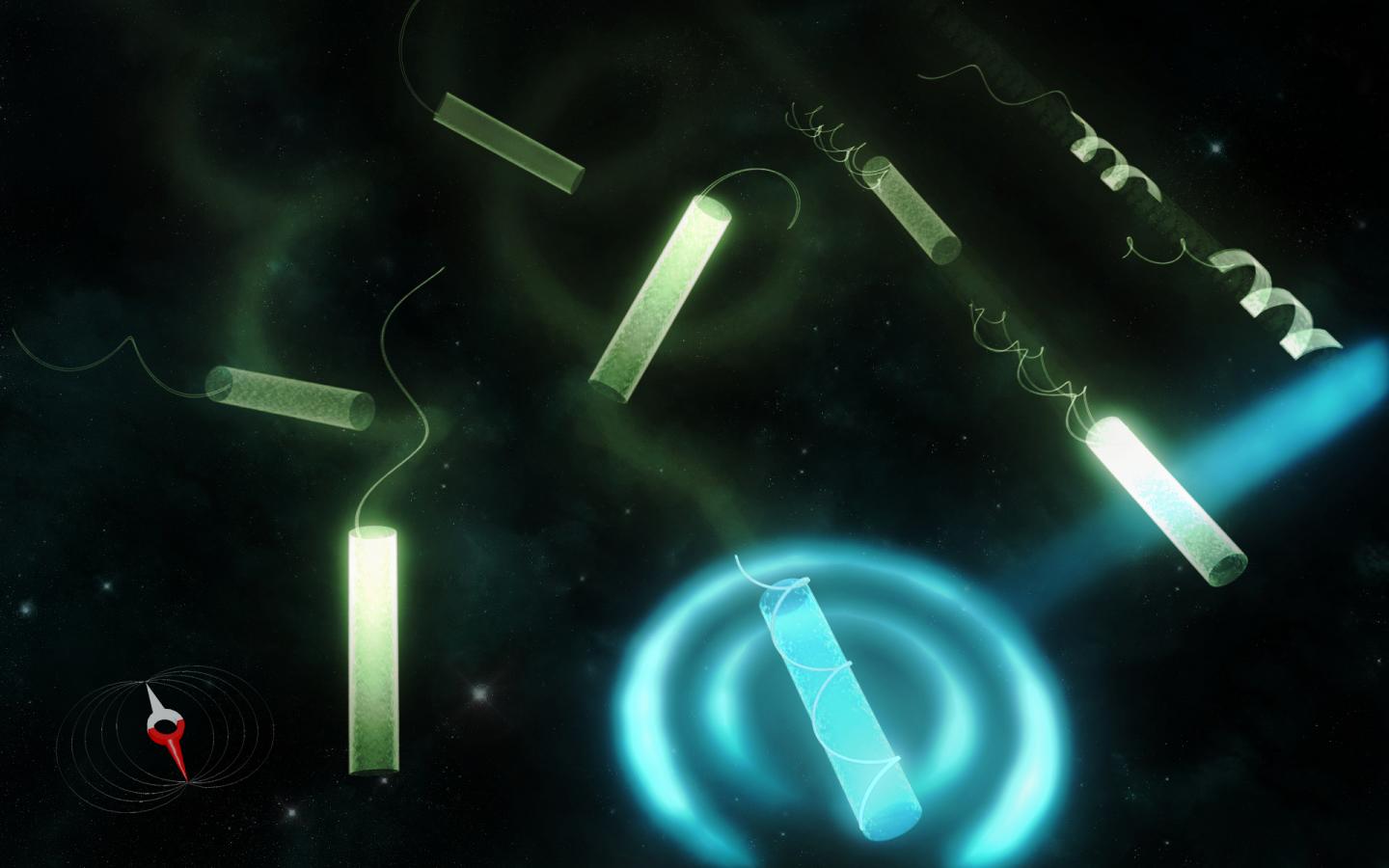 New Remote-Controlled Microrobots for Medical Operations