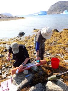 Tracking chips enable researchers to follow arctic char
