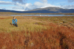 A typical landscape in northern Sweden