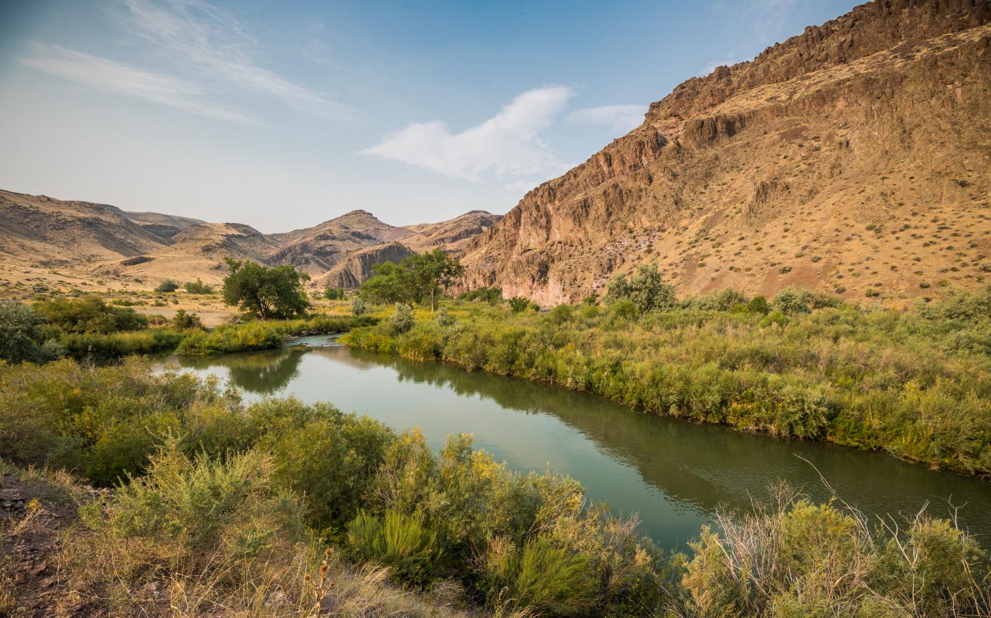 Owyhee River Canyon