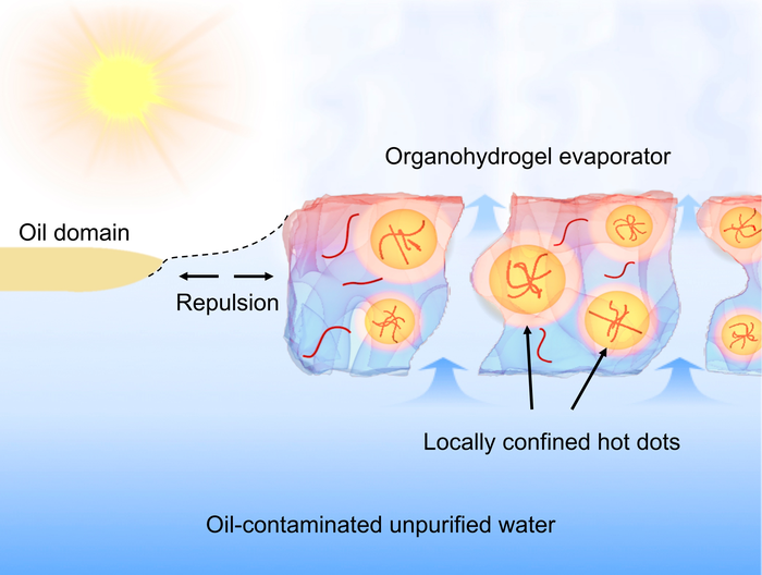 an organogel-hydrogel compositing strategy for optimizing comprehensive performances of solar-driven evaporators in practical oil-polluted water purification