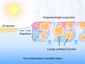 an organogel-hydrogel compositing strategy for optimizing comprehensive performances of solar-driven evaporators in practical oil-polluted water purification