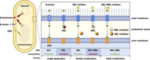 Graphical abstract