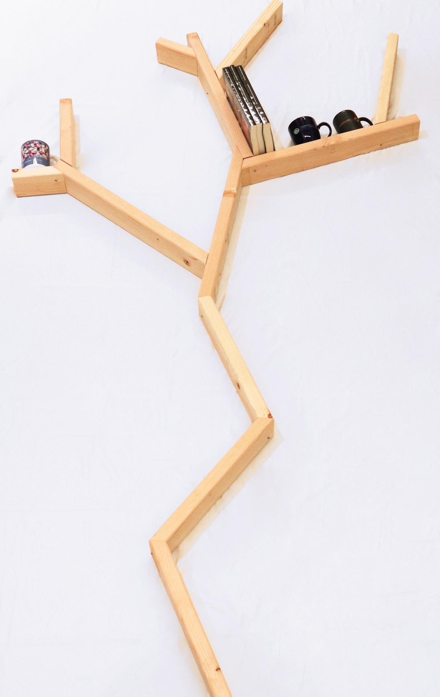 A Bookshelf Made with Carpentry Compiler