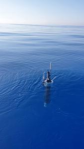 Autonomous profiling float deployed in the ocean