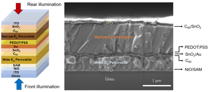 Structure of bifacial monolithic all-perovskite tandems.