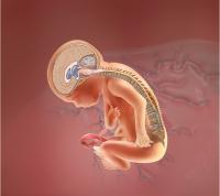 Fetus with Repair of MMC