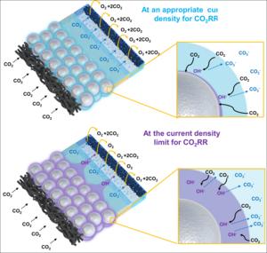 Diagram Representing Alkaline Issues in a Zero-Gap CO₂ Electrolysis Device