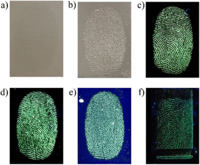 Development of latent fingerprints