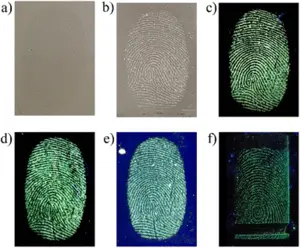 Development of latent fingerprints