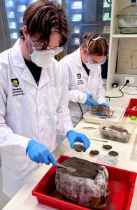 Caption: Members of the Flinders Microarchaeology Laboratory microsampling dirt for further geochemical and DNA analysis.