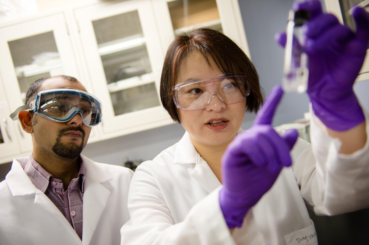 Water Purification Researchers [IMAGE] EurekAlert! Science News Releases