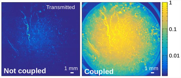 Yakolev Light Propagation