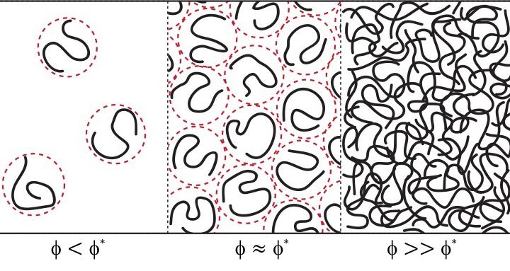 A Good Look inside Membraneless Organelles