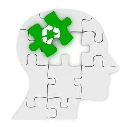 Proteasome-Dependent Recycling