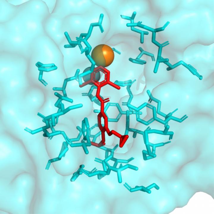 A PDE Inhibitor Bound to PDE4