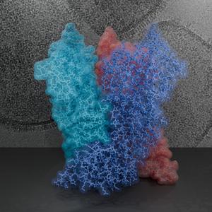 Structure of the poxviral core protein A10