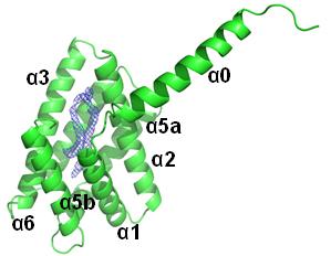 The Crystal Structure of TIPE3