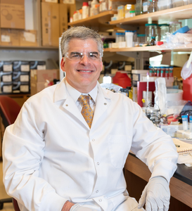 Biomaterial improves islet transplants for treatment of type 1 diabetes - EurekAlert