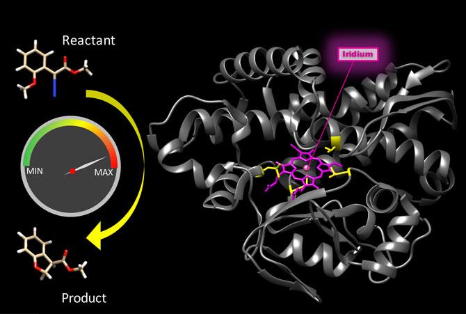 Artificial Metalloenzyme