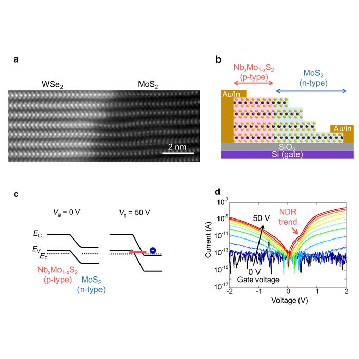 Multi-layered TMDC heterostructures and their electronic properties.