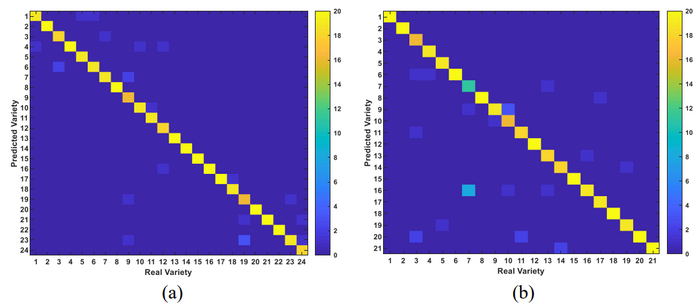 Scientists Proposed Novel Algorithm to Identify Authenticity of Crop Varieties