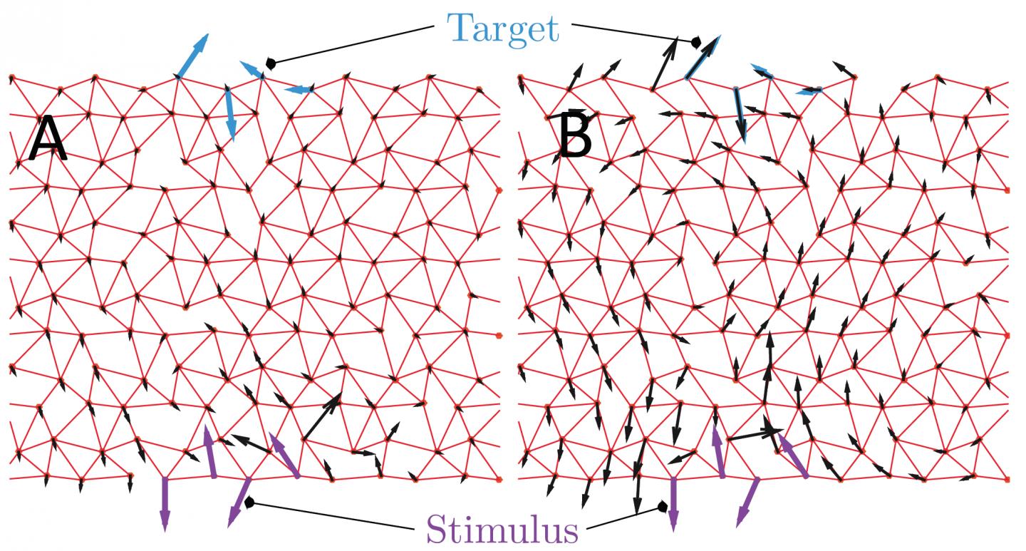 Illustration of the New Allosteric Model