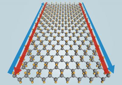 Stanene Structure