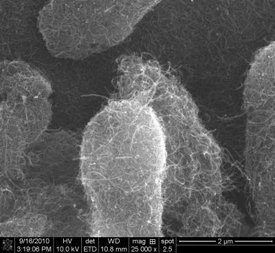 Carbon Nanotubes (1 of 2)