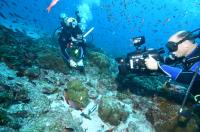 Marine Biologists Unmask Species Diversity in Coral Reefs (2 of 2)