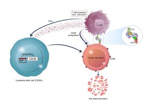 City of Hope drug discovery 2